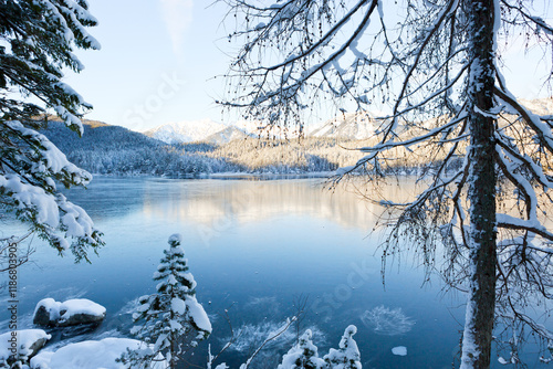 Winter trees and mountain reflection in the lake