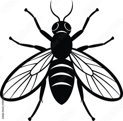 Tsetse fly silhouette vector illustration 