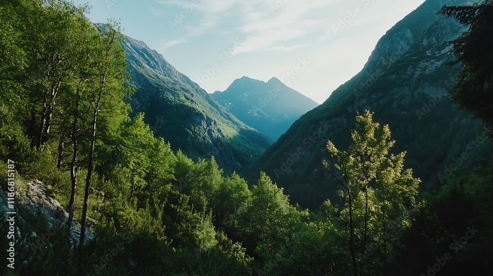 Obraz premium Breathtaking Mountain Forest Landscape with Sunlit Valley and Lush Greenery : Generative AI