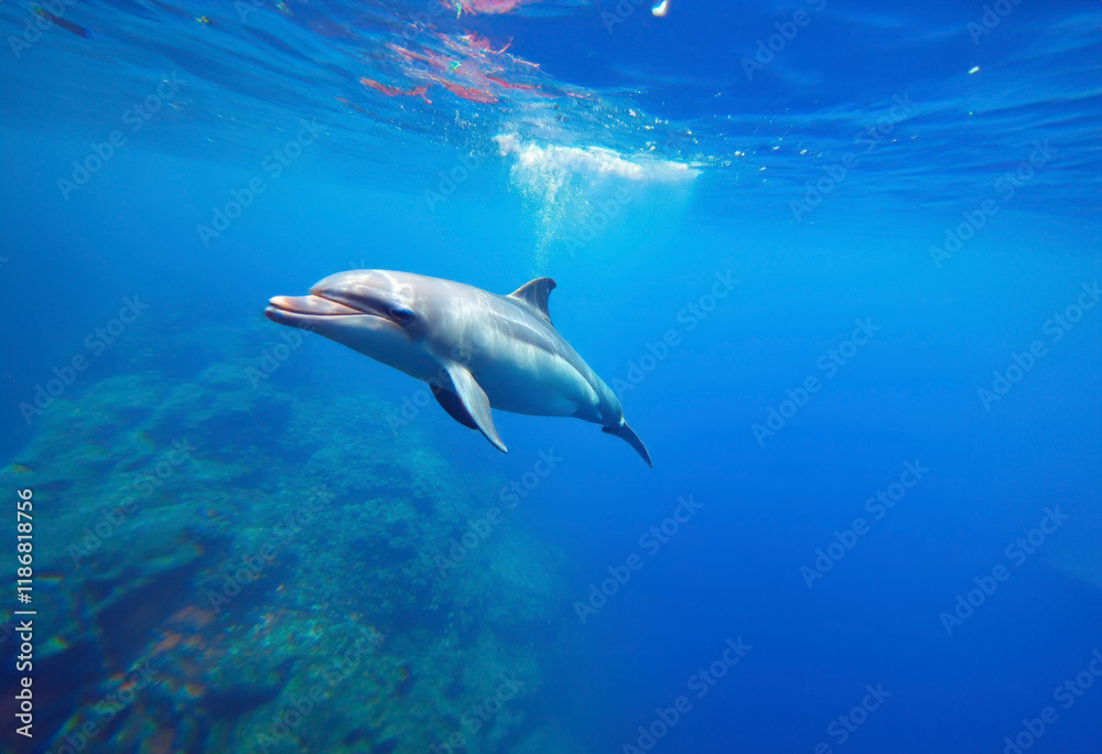 Fototapeta premium Generated image