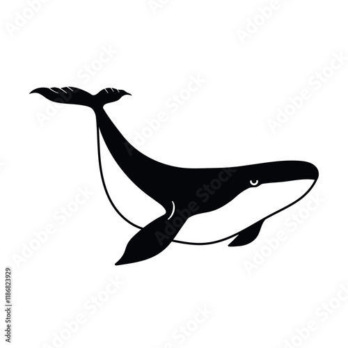 Line drawing of humpback whale vector illustration. Swimming whale design