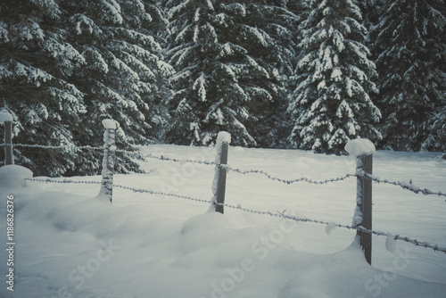 a snowed in fence at a cold winterday on the mountains  