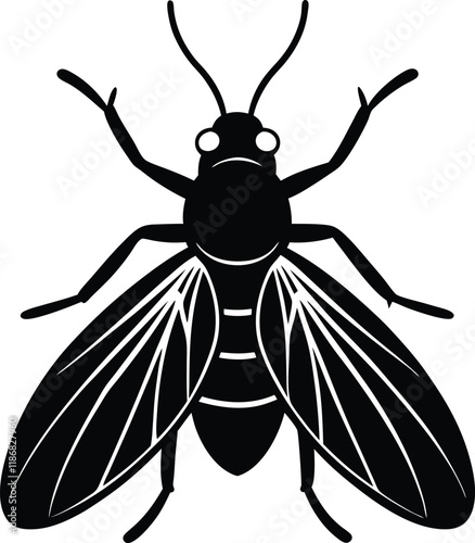 Whitefly silhouette vector illustration