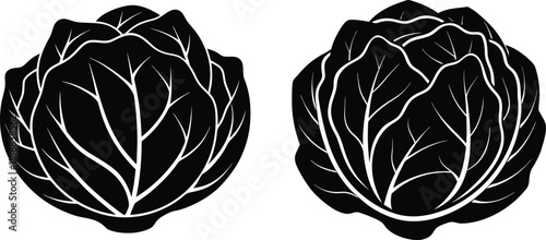 Cabbage with leave silhouette vector illustration