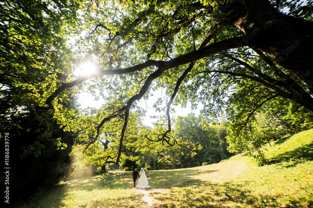 A couple is walking through a park under a large tree. The sun is shining brightly, casting a warm glow on the scene. The couple appears to be enjoying their time together