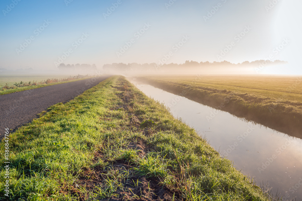 Dutch polder with a country road and a ditch on an early misty morning in the autumn season. The sun has just risen and the grass is still wet from the dew.