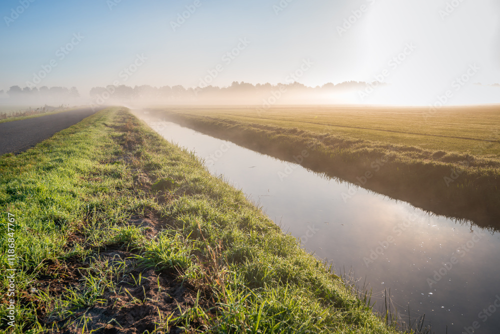 Dutch polder with a country road and a ditch on an early misty morning in the autumn season. The sun has just risen and the grass is still wet from the dew.