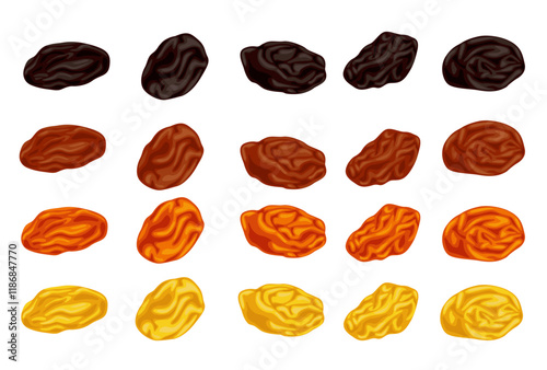 Dried raisins  isolated on white background. Vector eps 10.
