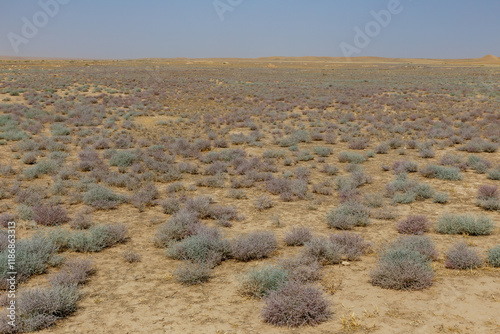 Dry desert landscape with sparse vegetation in Kunduz Province, Afghanistan photo