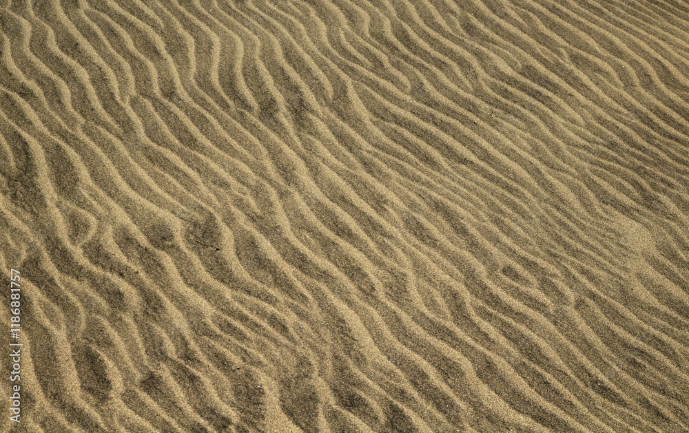 natural sand pattern created by wind blowing differently sized and colored particles
natural sand pattern created by wind blowing differently sized and colored particles