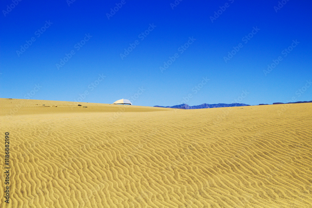 Fototapeta premium natural sand pattern created by wind blowing differently sized and colored particles 
