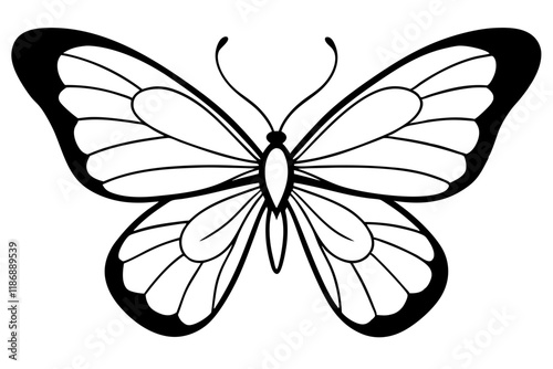 butterfly silhouette line art vector illustration with a white background