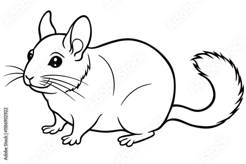 chinchilla silhouette line art vector illustration with a white background