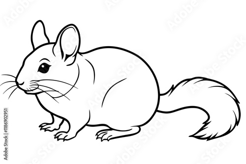 chinchilla silhouette line art vector illustration with a white background