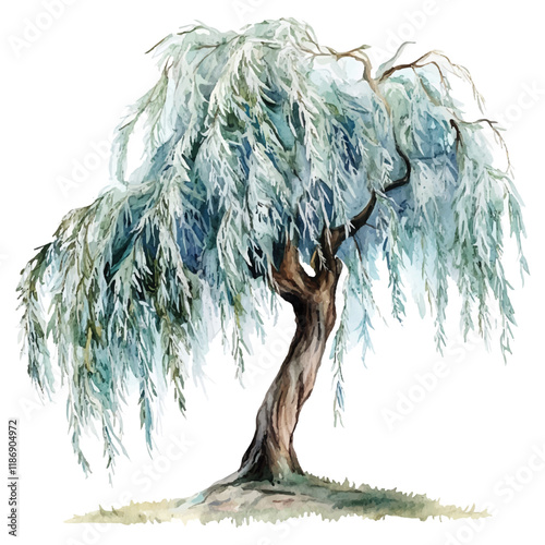 illustration of a tree