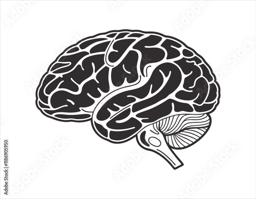 black and white illustration of a human brain with detailed anatomical structure and intricate folds, perfect for educational and medical purposes.
