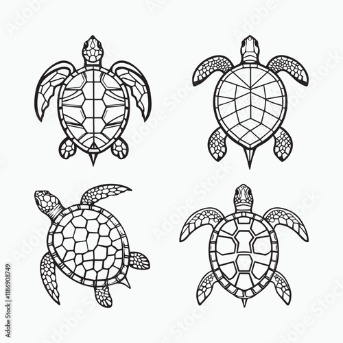 Turtle Quartet  A Line Art Ensemble