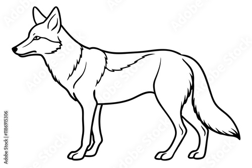 coyote silhouette line art vector illustration with a white background