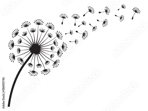 Dandelion Hand Drawn Silhouette. Dandelions with flying seeds vector illustration