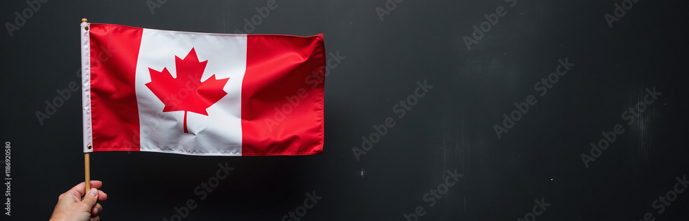A Person Is Holding A Canadian Flag Against A Black Textured Background With Plenty Of Space To Add Text Over Them. 00003 A Person Is Holding A Canadian Flag Against A Black Textured Background With Plenty Of Space To Add Text Over Them. 00003