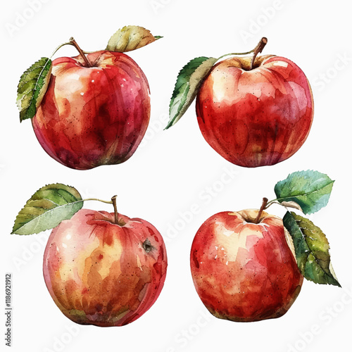 Vector illustration set of apples, fruits for a postcard, sticker