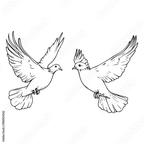 A simple line drawing of two doves flying in opposite directions, symbolizing peace, love, and freedom photo