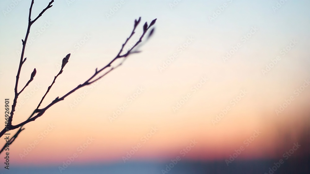 Obraz premium Minimalist Branch Silhouette Against a Serene Pastel Sunset Background : Generative AI
