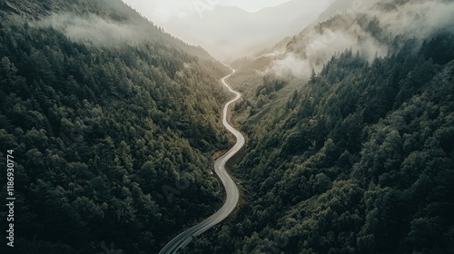 Winding mountain road through lush forest. Travel, nature, journey, scenic route.