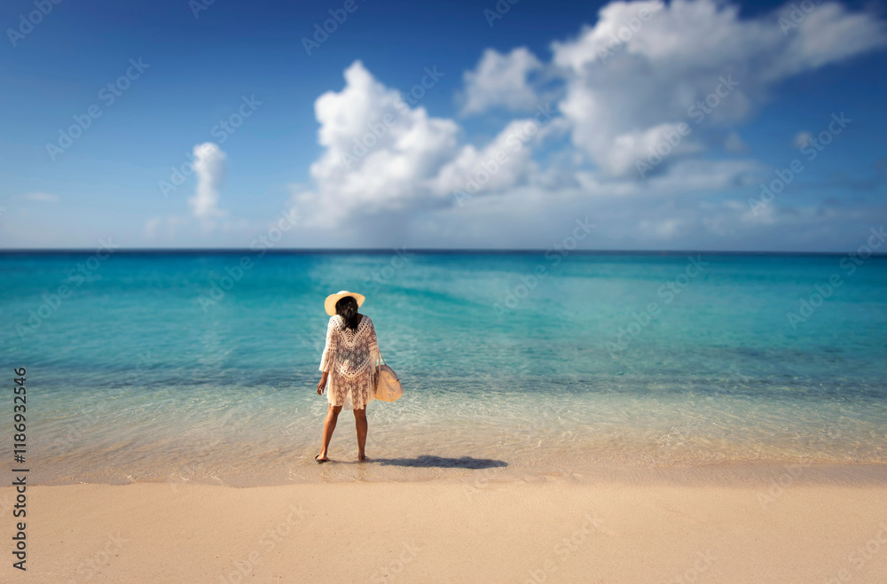 An unidentifiable woman wearing a white hat walking alone along a tropical beach. The coulds and background are diffused An unidentifiable woman wearing a white hat walking alone along a tropical beach. The coulds and background are diffused