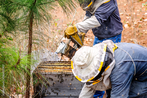Latin farmer added smoke to hive as a deterrent to bees so they could work freely.