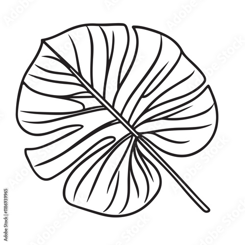 A simple line drawing of a Monstera deliciosa leaf, a popular tropical plant known for its large, split leaves.