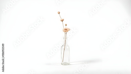 Single dried flower in a small glass bottle with a minimalist composition