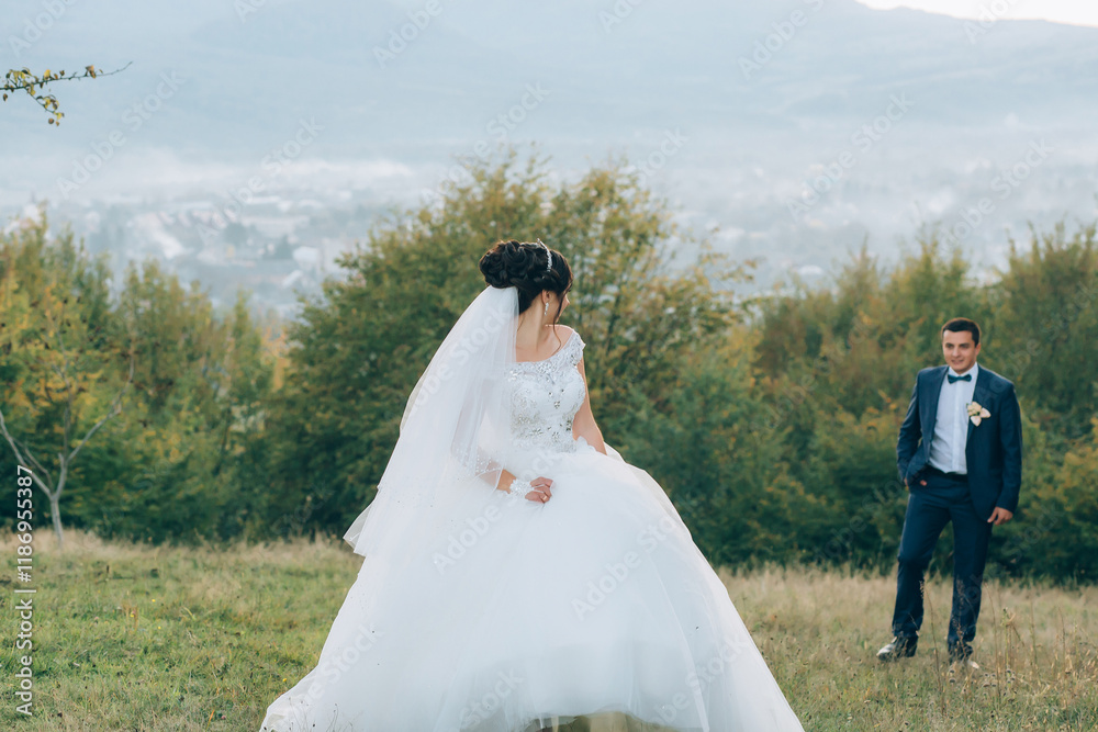 A bride and groom are standing in a field with a beautiful view of the mountains in the background A bride and groom are standing in a field with a beautiful view of the mountains in the background