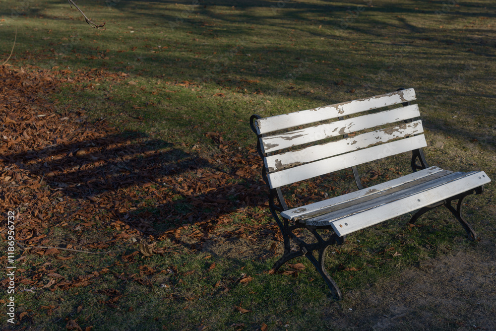 old wooden bench painted white isolated in the park old wooden bench painted white isolated in the park