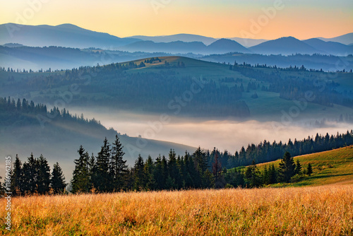 Obraz na płótnie Morning mist blankets rolling hills and lush forests in a serene landscape at sunrise w salonie