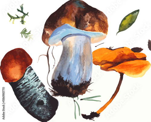 mushrooms in the forest