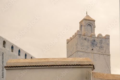 Le grand minaret photo