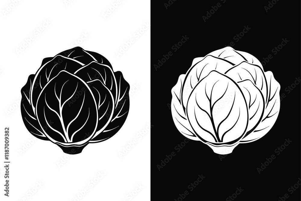 Brussels sprout icon vector on White Background ,Vector Art Illustration on white background. Brussels sprout icon vector on White Background ,Vector Art Illustration on white background.