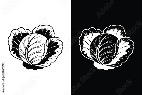 Cabbage icon vector on White Background ,Vector Art Illustration on white background.