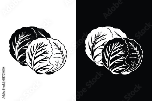Cabbage icon vector on White Background ,Vector Art Illustration on white background.