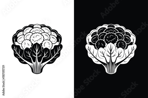 Cauliflower icon vector on White Background ,Vector Art Illustration on white background.