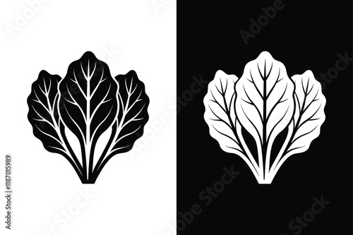 Collard greens  icon vector on White Background ,Vector Art Illustration on white background.