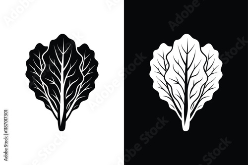 Collard greens  icon vector on White Background ,Vector Art Illustration on white background.