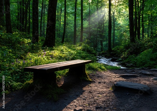 Tranquil Forest Scene with a Wooden Bench and Gentle Streamlight photo