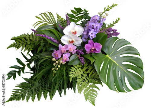 Tropical vibes plant bush floral arrangement with tropical leaves Monstera and fern and Vanda orchids tropical flower decor on tree branch liana vine plant isolated on white background