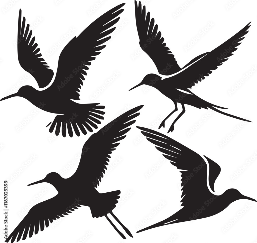Obraz premium silhouette set of willet flying poses,illet silhouette, flying willet poses, black and white willet illustration