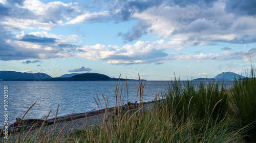 Beautiful evening view of cloudy sky at Padilla State Park, Washington, USA.