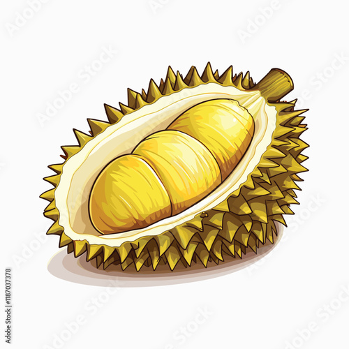 elegant illustration of durian isolated on white background