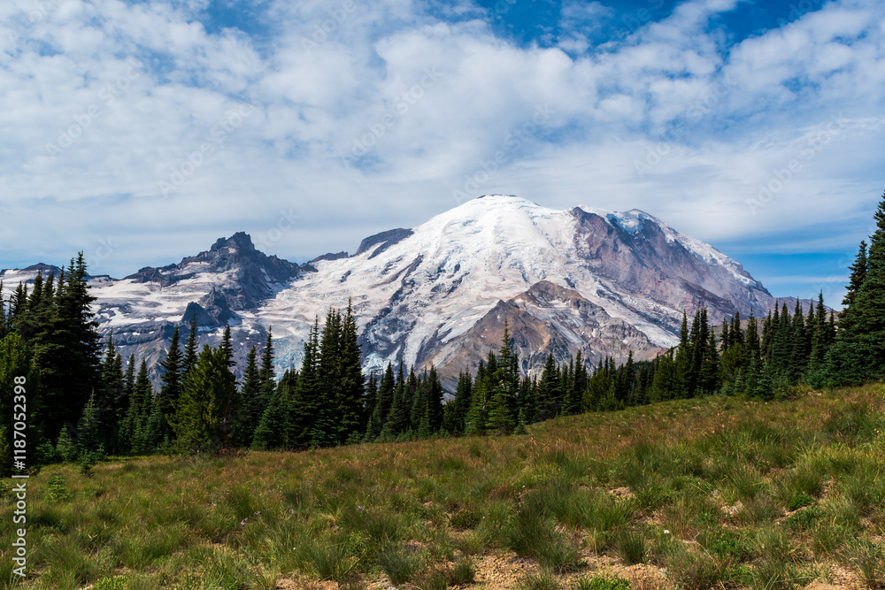 Fototapeta premium The iconic glaciated peak of Mt. Rainier as seen in Mt. Rainier National Park, Washington, USA.