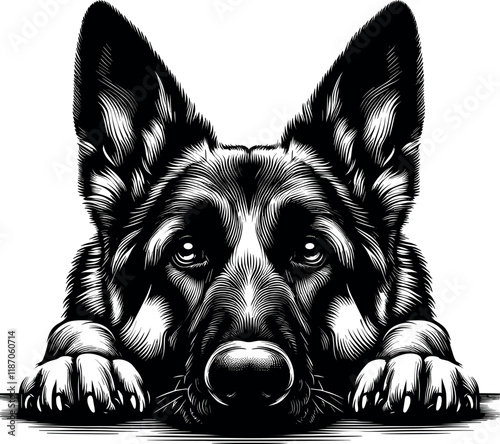 Highly Detailed German Shepherd Portrait, Lying Down with Focused Expression